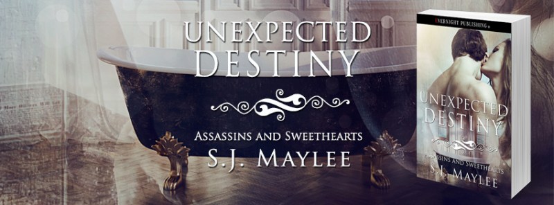 Unexpected-Destiny-evernightpublishing-2016-banner3